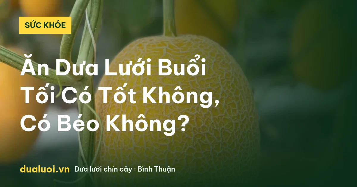 Ăn Dưa Lưới Buổi Tối Có Tốt Không, Có Béo Không? — dualuoi.vn