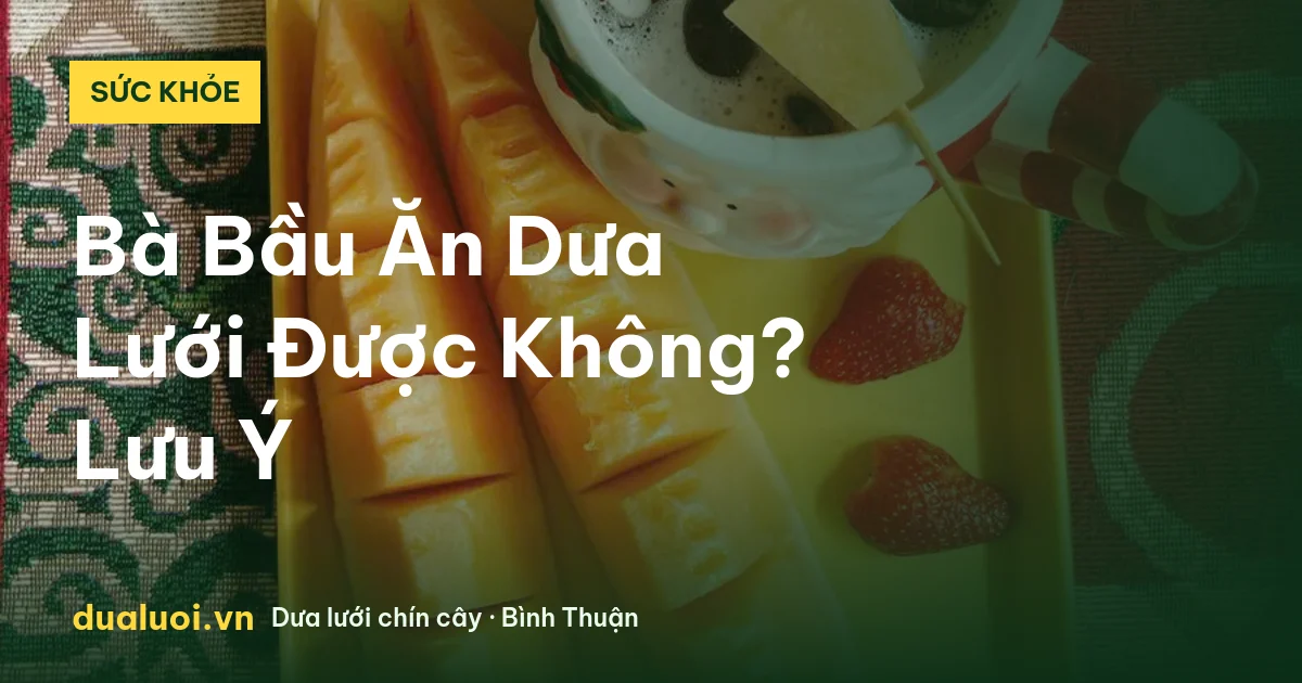 Bà Bầu Ăn Dưa Lưới Được Không? Lưu Ý — dualuoi.vn