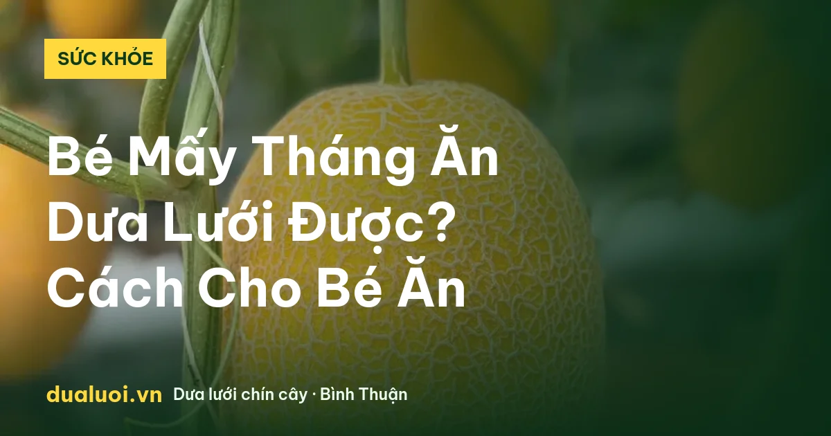 Bé Mấy Tháng Ăn Dưa Lưới Được? Cách Cho Bé Ăn — dualuoi.vn