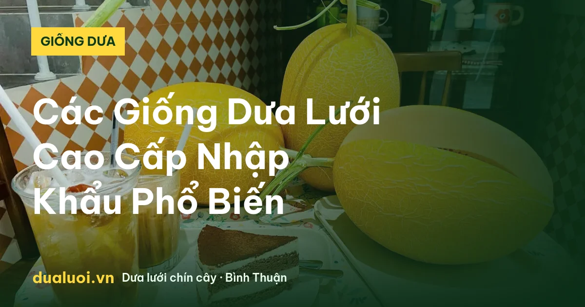 Các Giống Dưa Lưới Cao Cấp Nhập Khẩu Phổ Biến — dualuoi.vn