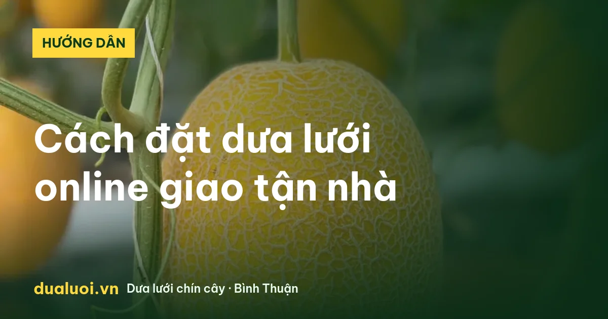 Dưa lưới chín cây trên cây, đặt online giao tận nhà TP.HCM