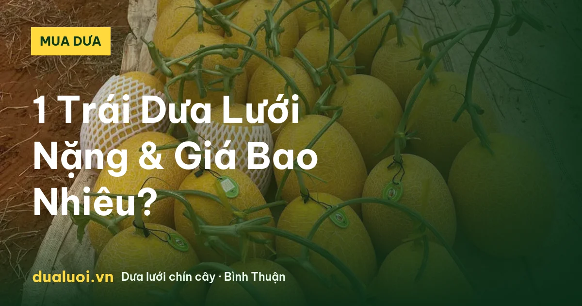 1 Trái Dưa Lưới Nặng & Giá Bao Nhiêu? — dualuoi.vn
