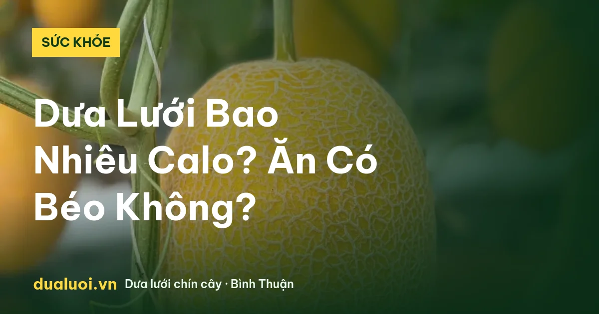 Dưa Lưới Bao Nhiêu Calo? Ăn Có Béo Không? — dualuoi.vn