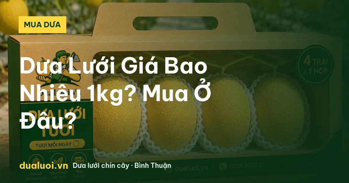 Dưa Lưới Giá Bao Nhiêu 1kg? Mua Ở Đâu? — dualuoi.vn