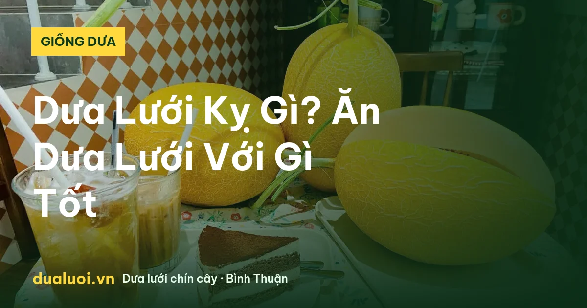 Dưa Lưới Kỵ Gì? Ăn Dưa Lưới Với Gì Tốt — dualuoi.vn
