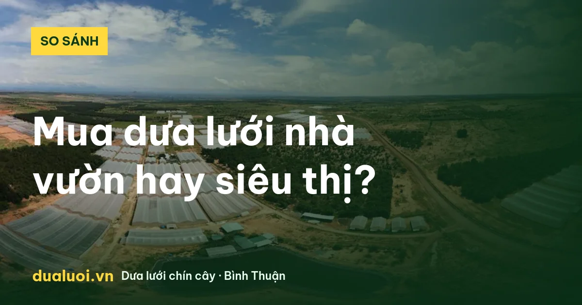 Nông trại dưa lưới nhà vườn Bình Thuận nhìn từ trên cao