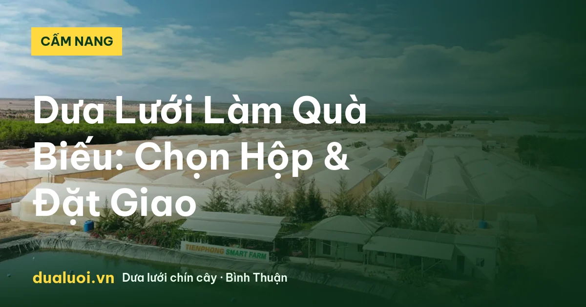 Dưa Lưới Làm Quà Biếu: Chọn Hộp & Đặt Giao — dualuoi.vn