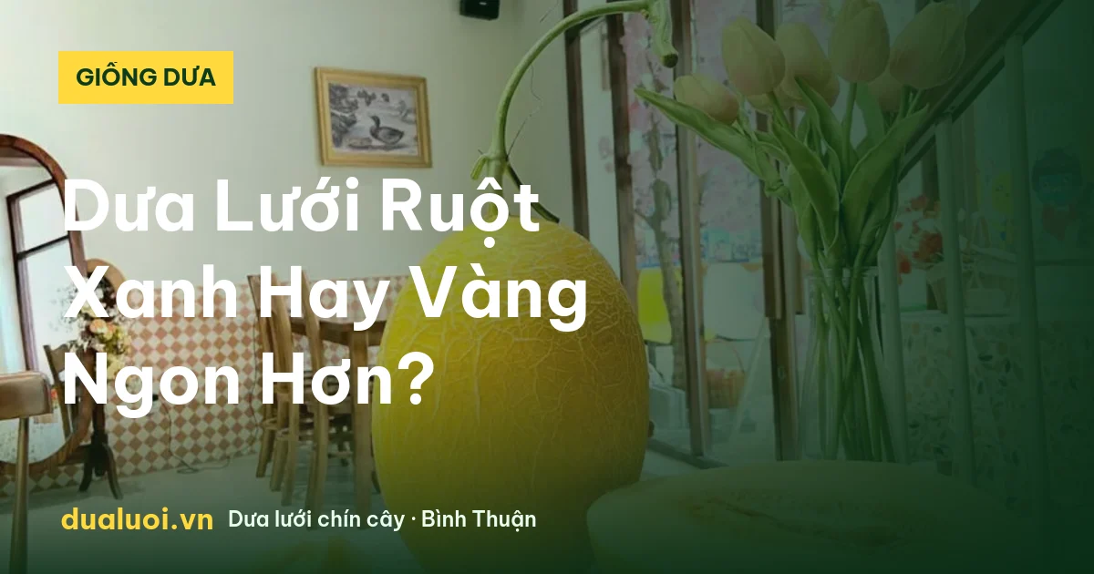 Dưa Lưới Ruột Xanh Hay Vàng Ngon Hơn? — dualuoi.vn