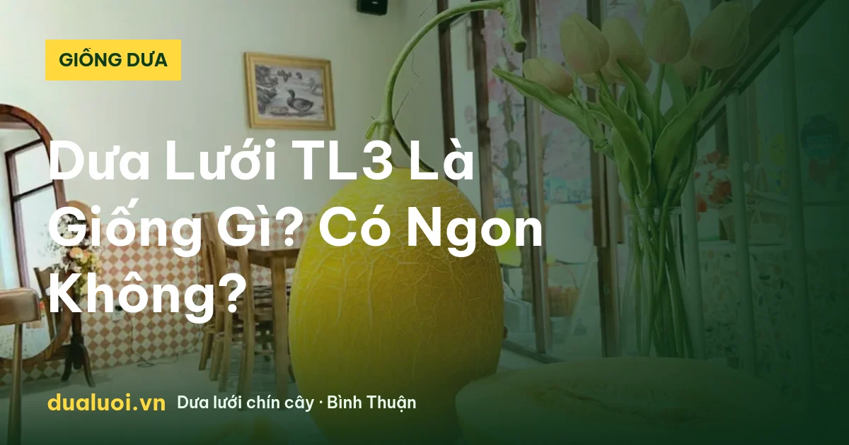 Dưa Lưới TL3 Là Giống Gì? Có Ngon Không? — dualuoi.vn