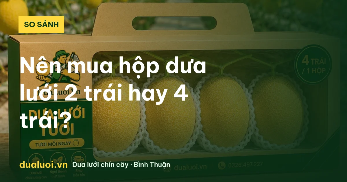 Hộp dưa lưới 2 trái và 4 trái chín cây dualuoi.vn