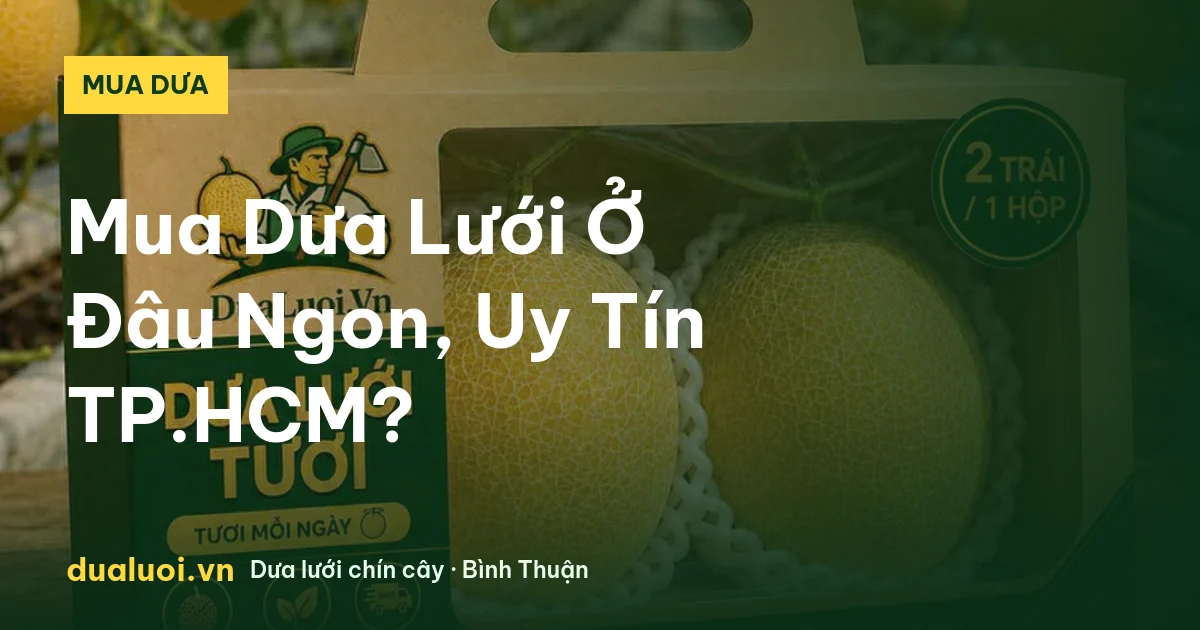 Mua Dưa Lưới Ở Đâu Ngon, Uy Tín TP.HCM? — dualuoi.vn