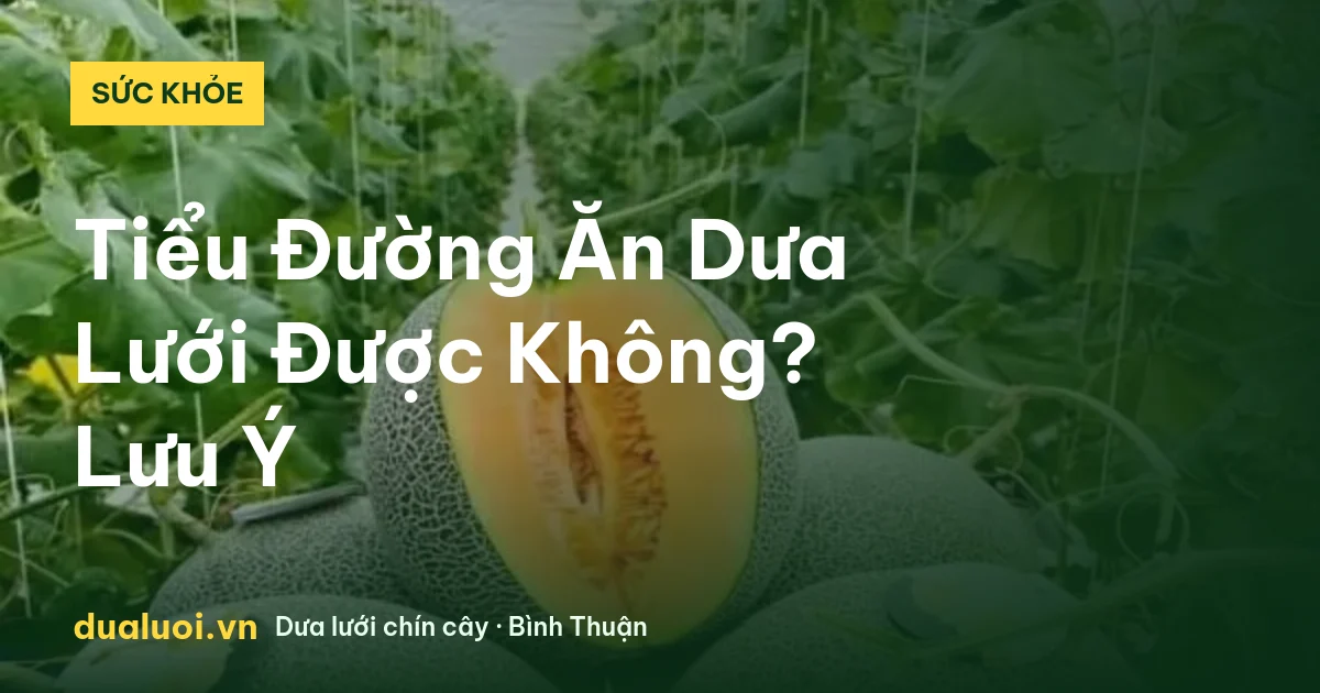 Tiểu Đường Ăn Dưa Lưới Được Không? Lưu Ý — dualuoi.vn