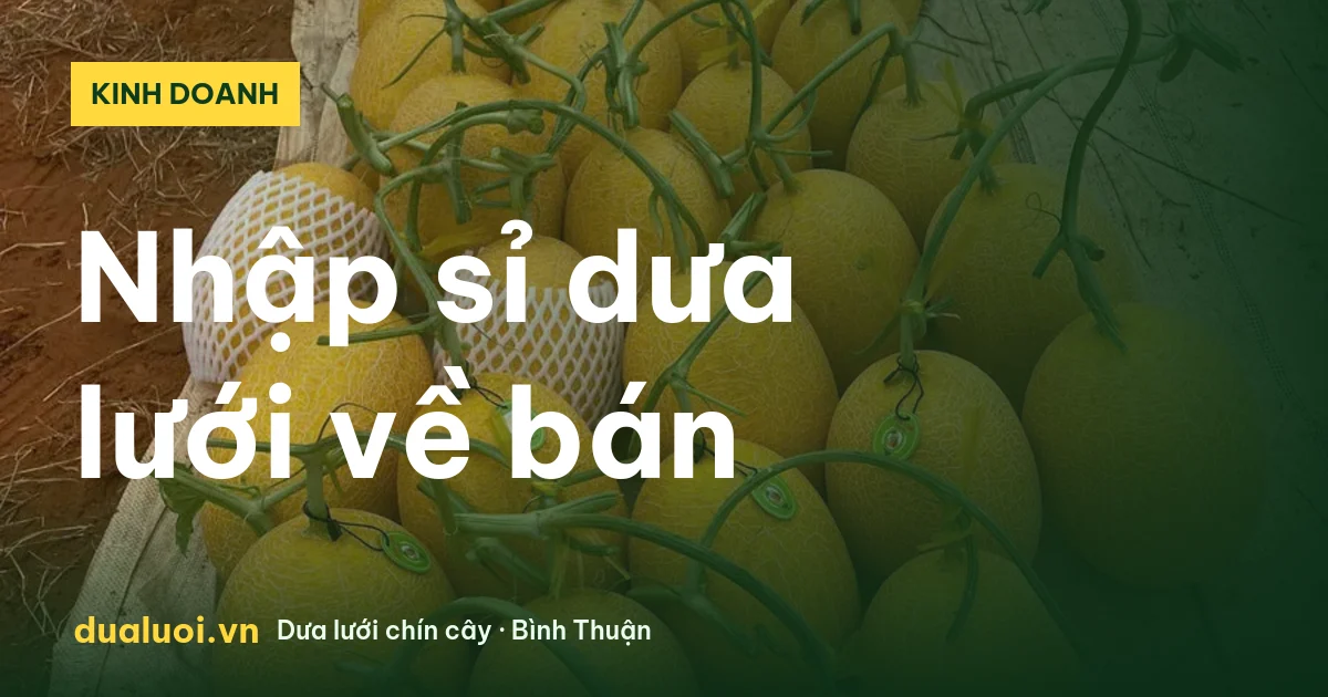 Thùng dưa lưới nhập sỉ về bán từ nhà vườn Bình Thuận