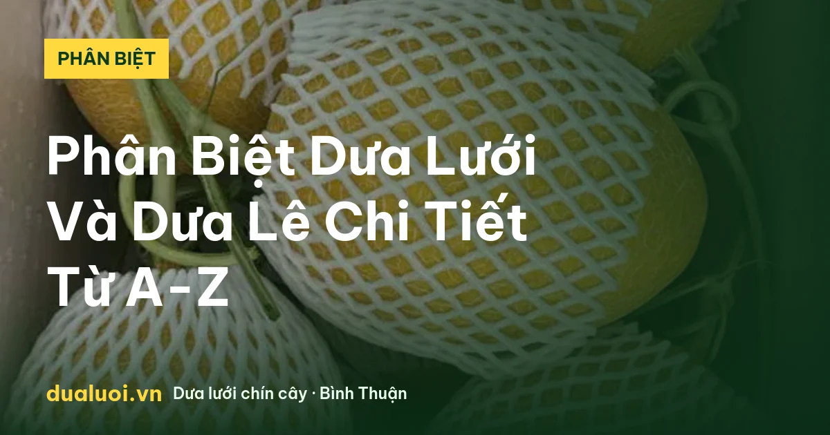 Phân Biệt Dưa Lưới Và Dưa Lê Chi Tiết Từ A-Z — dualuoi.vn