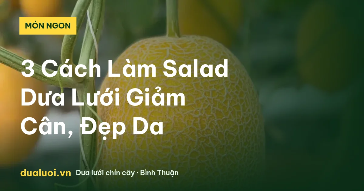 3 Cách Làm Salad Dưa Lưới Giảm Cân, Đẹp Da — dualuoi.vn