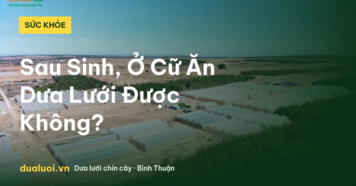 Sau Sinh, Ở Cữ Ăn Dưa Lưới Được Không? — dualuoi.vn