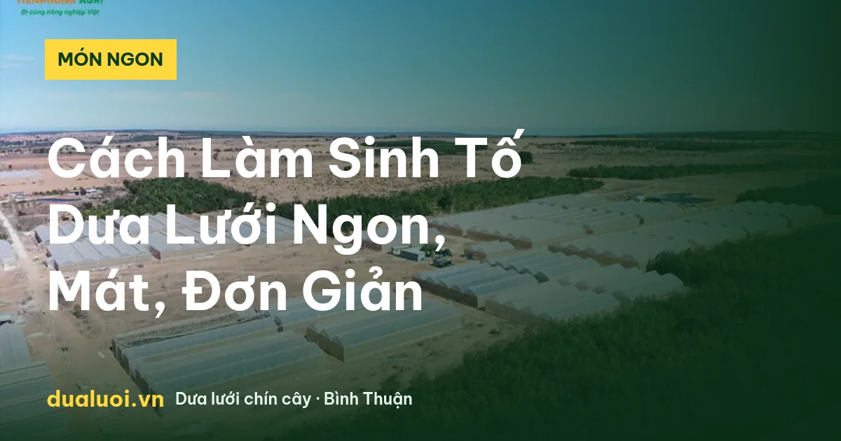 Cách Làm Sinh Tố Dưa Lưới Ngon, Mát, Đơn Giản — dualuoi.vn
