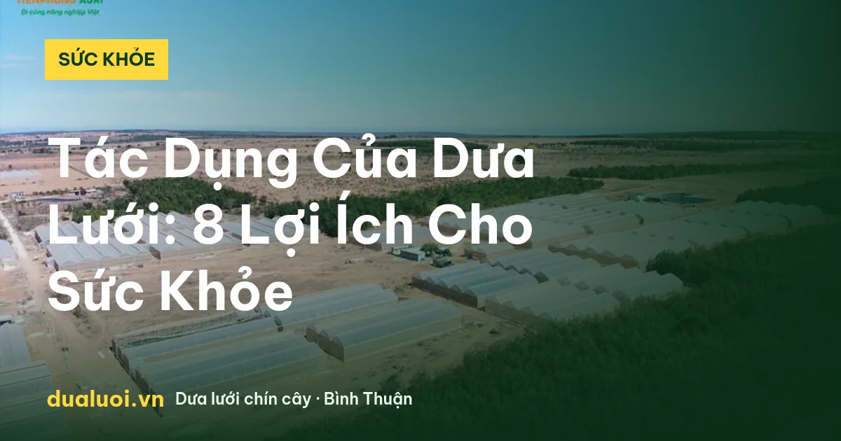 Tác Dụng Của Dưa Lưới: 8 Lợi Ích Cho Sức Khỏe — dualuoi.vn